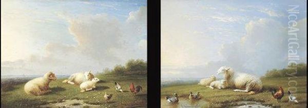 Paysages Avec Moutons Et Poules Oil Painting by Franz van Severdonck