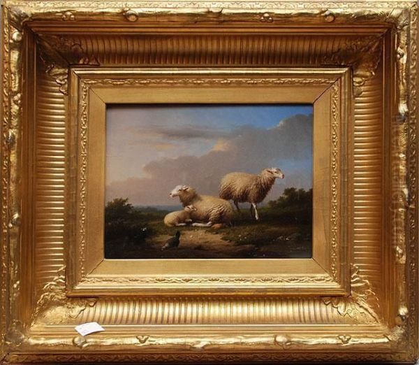 Sheep Oil Painting by Franz van Severdonck