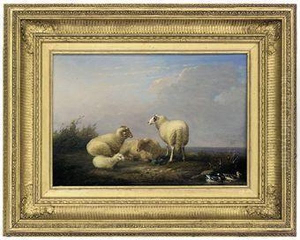 Sheep Resting Beside Some Ducks Oil Painting by Franz van Severdonck