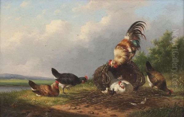 Hahn Mit Hennen Oil Painting by Franz van Severdonck