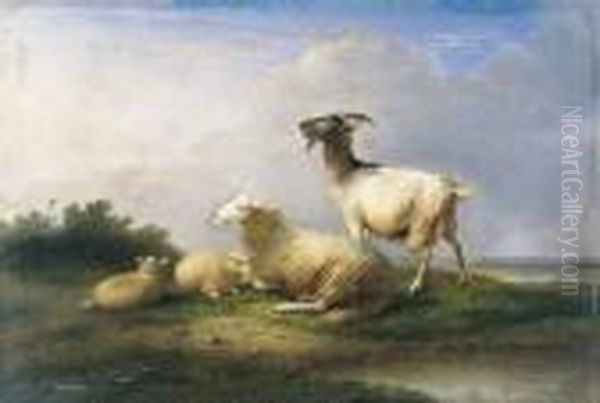 Schapen En Geit In Een Landschap Oil Painting by Franz van Severdonck