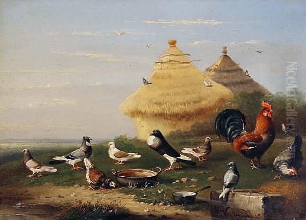 Pigeons And Chickens Oil Painting by Franz van Severdonck