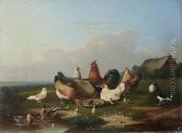 Cocq, Chickens And Ducks Near The Water Oil Painting by Franz van Severdonck