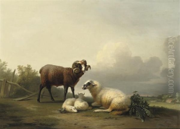 Sheep Resting In The Pasture Oil Painting by Franz van Severdonck