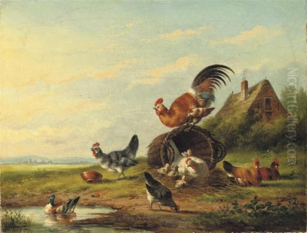 Chickens In A Meadow Oil Painting by Franz van Severdonck