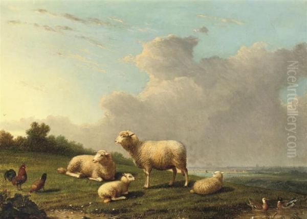 Sheep In A Meadow Oil Painting by Franz van Severdonck