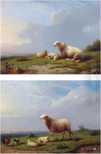 Sheep Resting With Ducks In A 
Landscape; Sheep And Chickens Restingin A Landscape (a Pair) Oil Painting by Franz van Severdonck