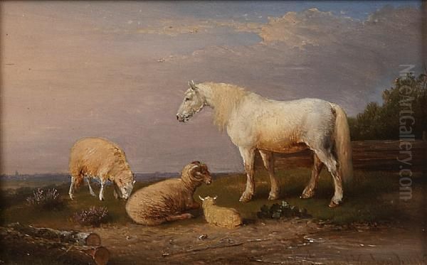 A Bull And Sheep In A Pasture; Also Acompanion Landscape (a Pair) Oil Painting by Franz van Severdonck