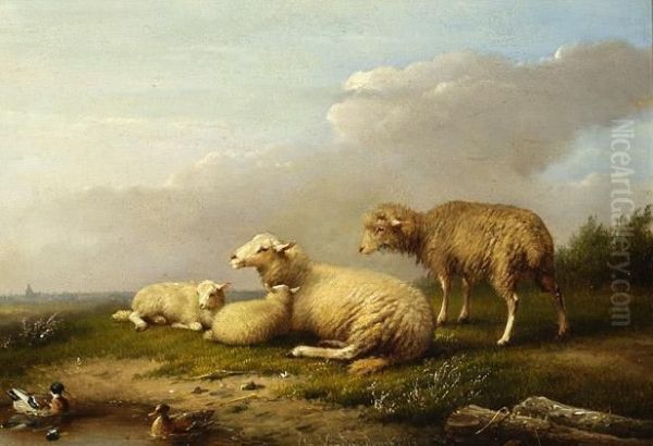 Sheep Resting By The Water Oil Painting by Franz van Severdonck