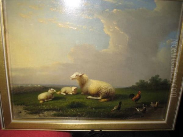 Sheep Resting In A Landscape With Rooster, Chicken And Ducks At Water's Edge Oil Painting by Franz van Severdonck