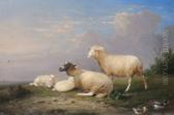 Sheep Beside Ducks On A Pond; And A Companion Oil Painting by Franz van Severdonck