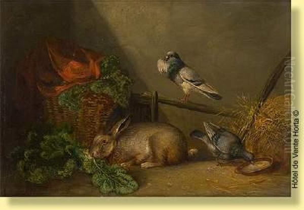 Lapin Et Pigeon Pres Du Panier Oil Painting by Franz van Severdonck