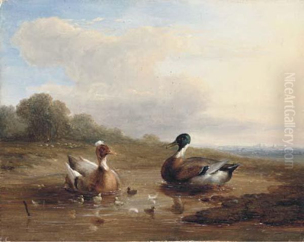 At The Duck Pond Oil Painting by Franz van Severdonck