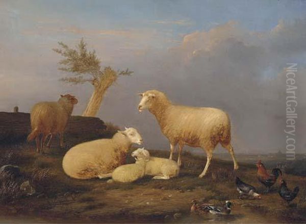 Sheep And Poultry At The Pond Oil Painting by Franz van Severdonck