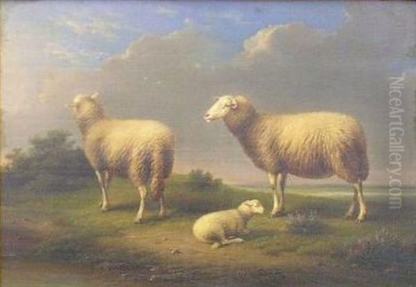 Sheep In A Landscape Oil Painting by Franz van Severdonck