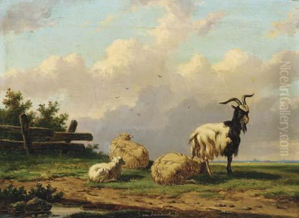 Sheep And A Goat In A Country Landscape Oil Painting by Franz van Severdonck