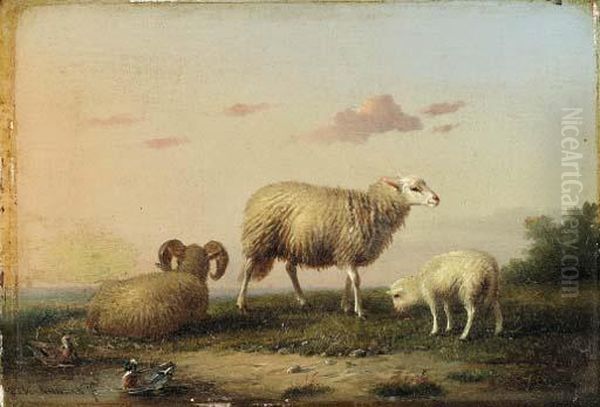 A Family Of Sheep
Oil On Panel by Franz van Severdonck