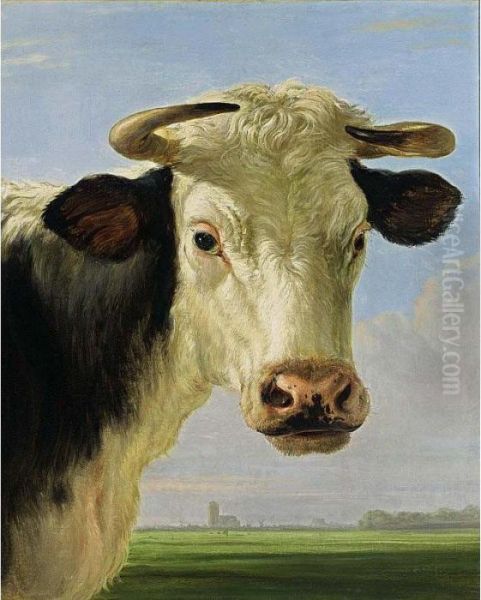 A Head Of A Bull With A View 
Over An Extensive Landscape Looking Towards The Grote Kerk Of Dordrecht Oil Painting by Jacob Van Stry