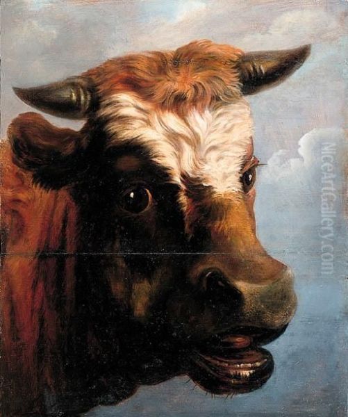 Head Of A Bull Oil Painting by Jacob Van Stry