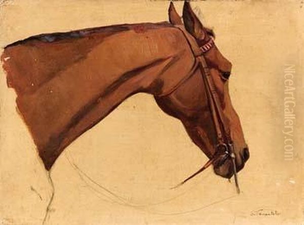 Testa Di Cavallo Oil Painting by Scipione Vannutelli