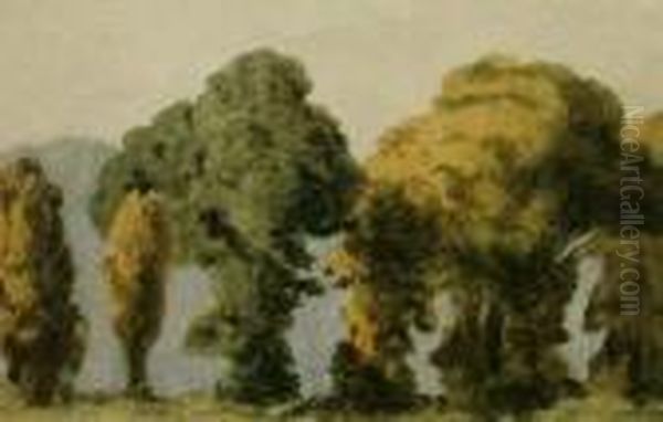 1842- Study Of Trees Oil Painting by John Varley