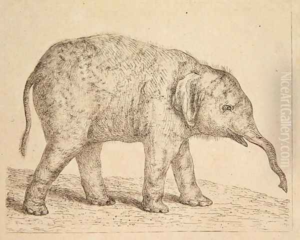 Elephant Oil Painting by Johann Heinrich Wilhelm Tischbein