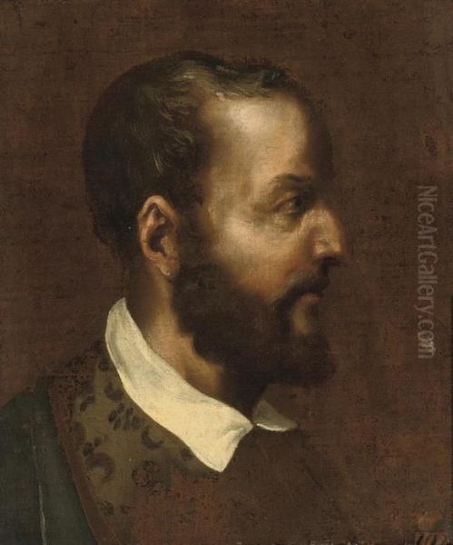 Head Of A Man In Profile Oil Painting by Tiziano Vecellio (Titian)