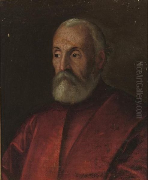 Portrait Of A Man, Bust-length, In A Red Cloak Oil Painting by Tiziano Vecellio (Titian)