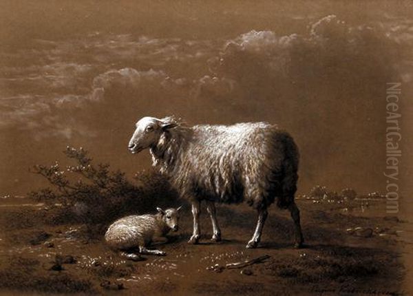 Study Of Sheep And Lamb Oil Painting by Eugene Joseph Verboeckhoven