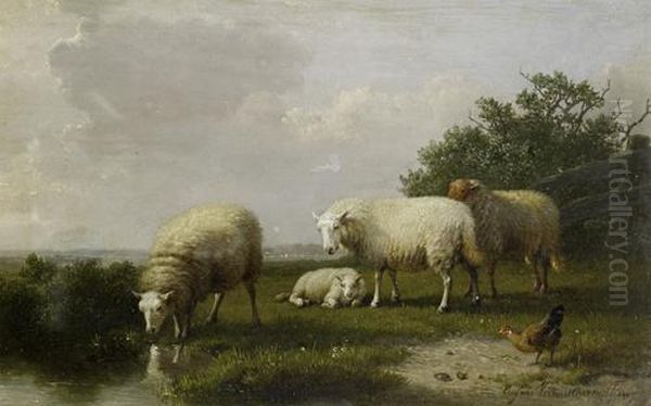 Sheep Grazing On A Riverbank Oil Painting by Eugene Joseph Verboeckhoven