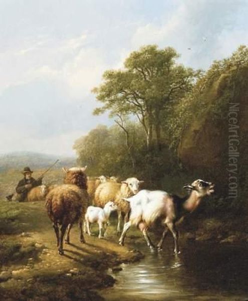 Berger Avec Moutons Et Chevres Oil Painting by Eugene Joseph Verboeckhoven