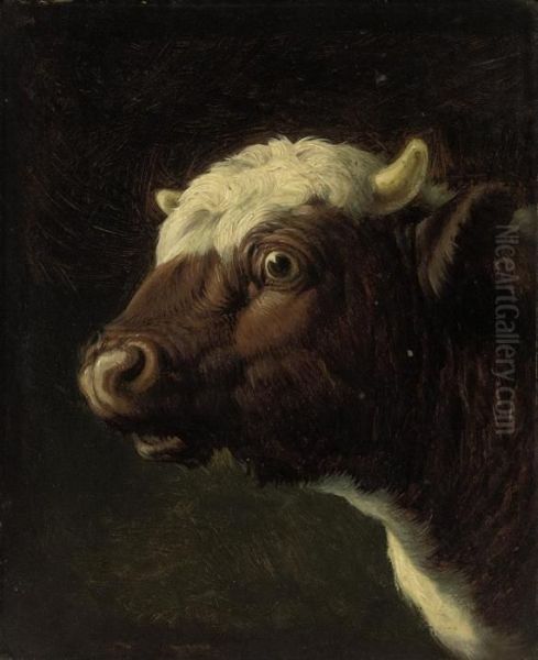 A Bull's Head Oil Painting by Eugene Joseph Verboeckhoven