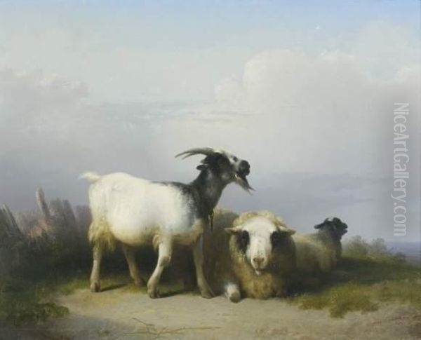 Chevre Et Moutons Au Repos Oil Painting by Eugene Joseph Verboeckhoven