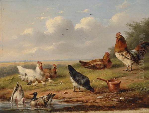 Poultry Oil Painting by Eugene Joseph Verboeckhoven