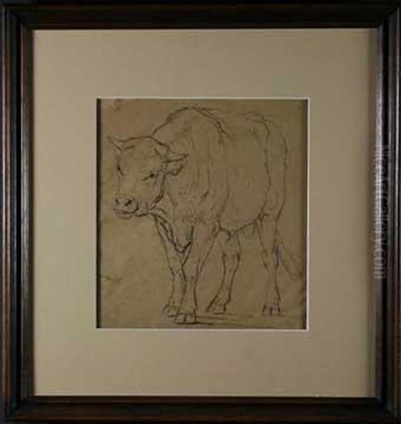 Depicting Cattle Studies Oil Painting by Eugene Joseph Verboeckhoven