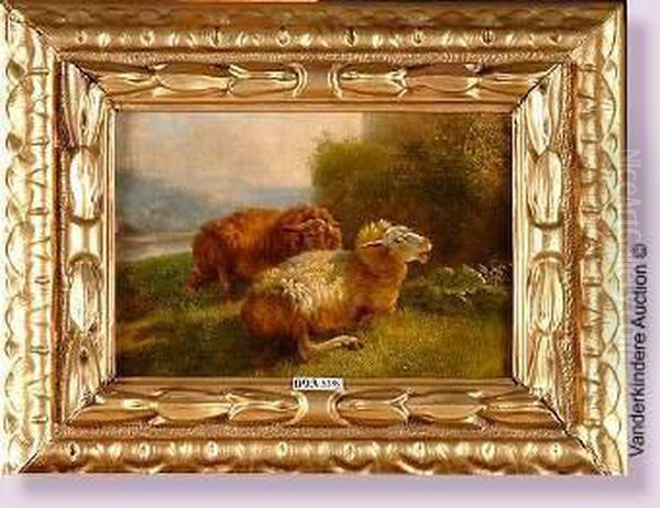 Moutons Couches Au Pre Oil Painting by Eugene Joseph Verboeckhoven