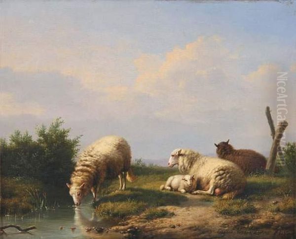 Moutons S'abreuvant A La Mare Oil Painting by Eugene Joseph Verboeckhoven