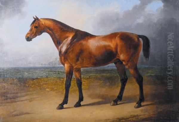 Pur Sang - Pure-bred (1837) Oil Painting by Eugene Joseph Verboeckhoven