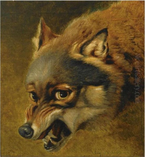 Study Of A Fox Oil Painting by Eugene Joseph Verboeckhoven