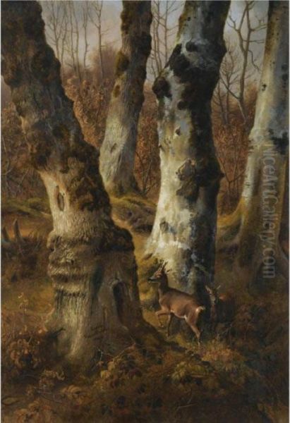 Deer In A Wood Oil Painting by Eugene Joseph Verboeckhoven