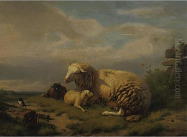 Sheep Resting Oil Painting by Eugene Joseph Verboeckhoven