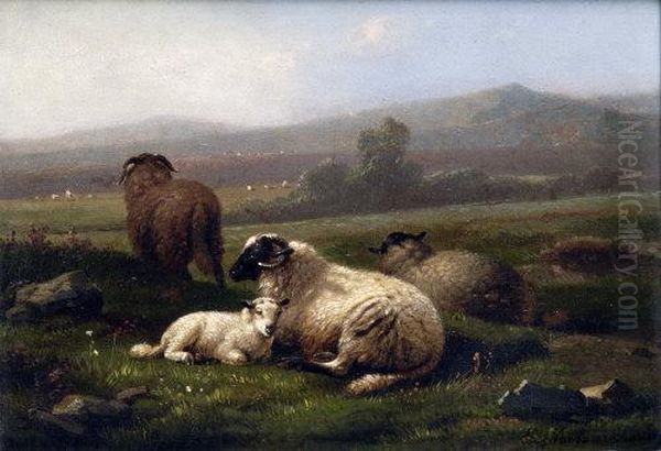 Black Faced Horned Ewes And Lambs Oil Painting by Eugene Joseph Verboeckhoven