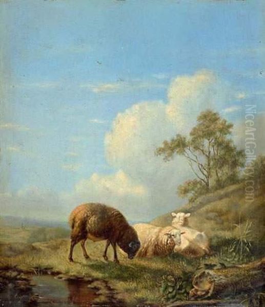 Sheep On The Meadow. Oil Painting by Eugene Joseph Verboeckhoven