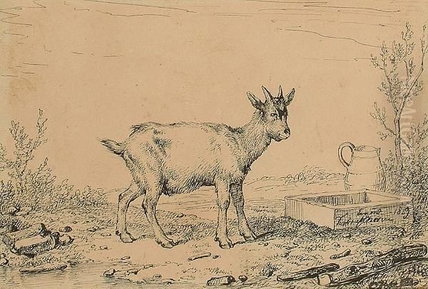 A Goat; And A Donkey Oil Painting by Eugene Joseph Verboeckhoven