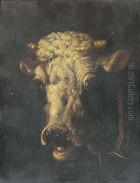 Studies Of Cattle Oil Painting by Eugene Joseph Verboeckhoven