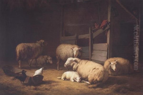 Sheep In A Stable Interior Oil Painting by Eugene Joseph Verboeckhoven