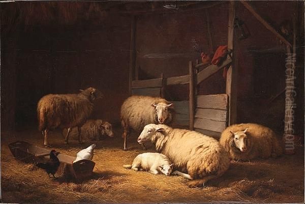 Sheep In A Stable Interior Oil Painting by Eugene Joseph Verboeckhoven