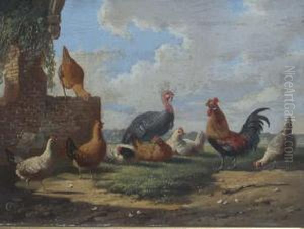 Turkey And Other Fowl Oil Painting by Albertus Verhoesen