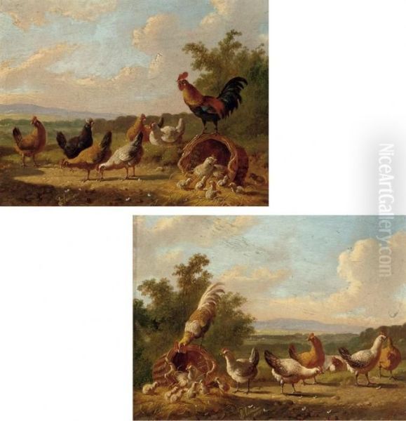 Chickens In The Farmyard Oil Painting by Albertus Verhoesen