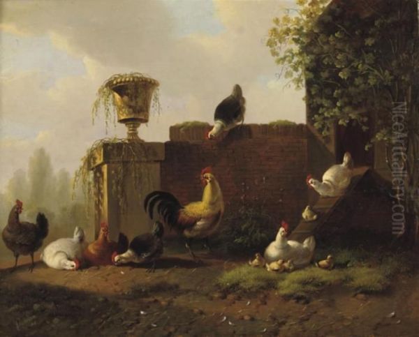 Pluimvee: Chickens In The Sun Oil Painting by Albertus Verhoesen